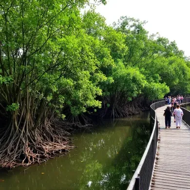 Taman Wisata Alam Mangrove